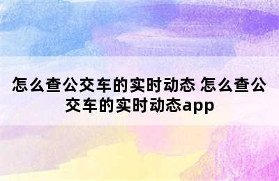 怎么查公交车的实时动态 怎么查公交车的实时动态app